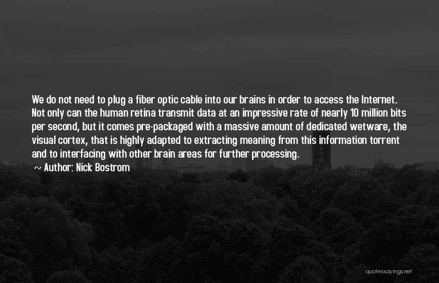 Fiber Internet Quotes By Nick Bostrom