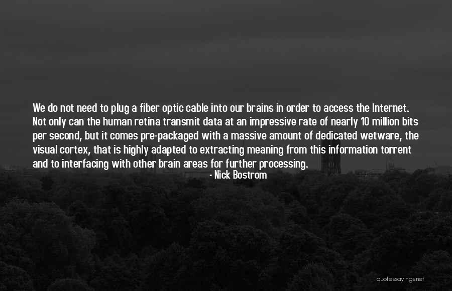 Fiber Internet Quotes By Nick Bostrom