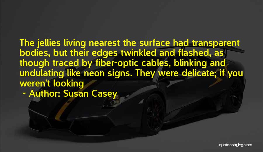 Fiber Optic Quotes By Susan Casey