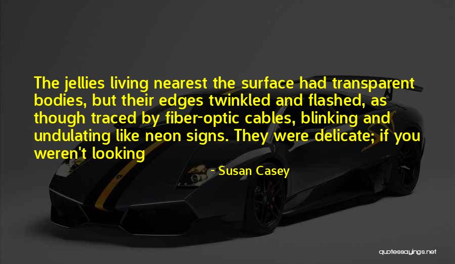 Fiber Optic Quotes By Susan Casey