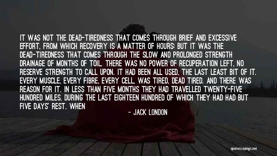 Fibre Quotes By Jack London