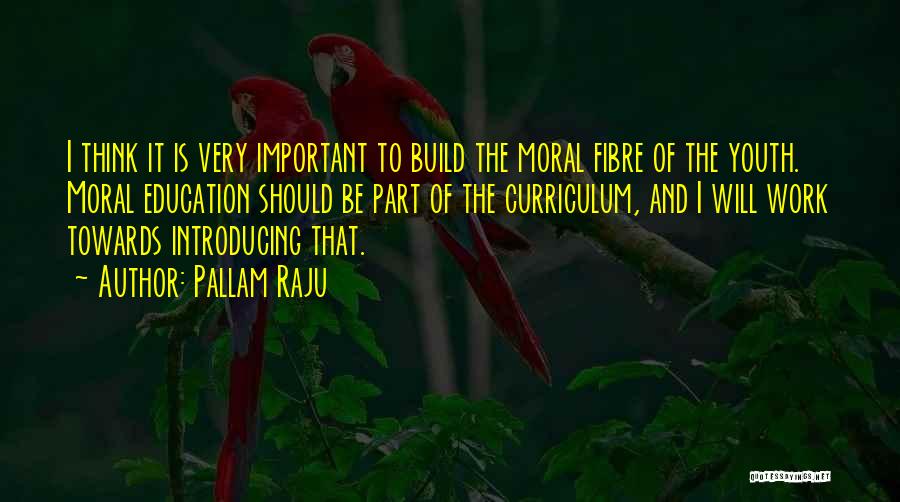 Fibre Quotes By Pallam Raju