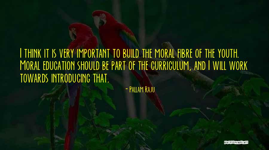 Fibre Quotes By Pallam Raju