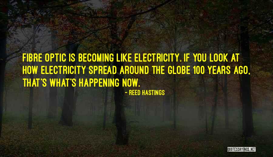 Fibre Quotes By Reed Hastings