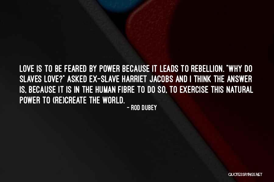 Fibre Quotes By Rod Dubey