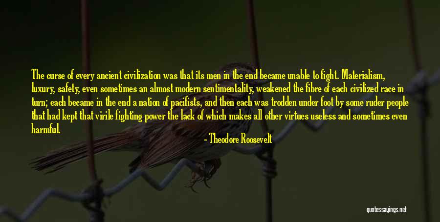 Fibre Quotes By Theodore Roosevelt