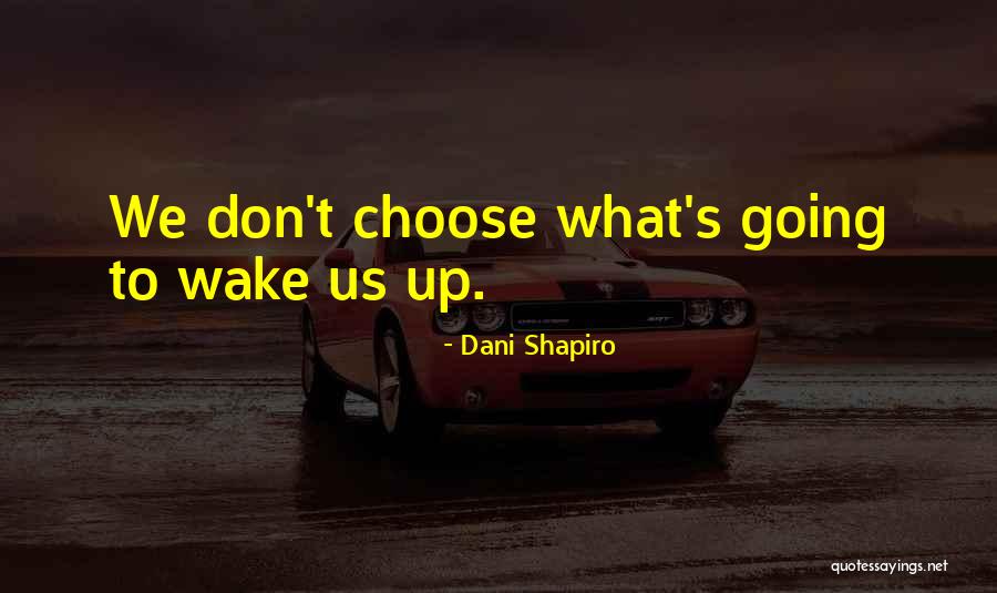 Fic Books Quotes By Dani Shapiro Fic Books Quotes By Dani Shapiro