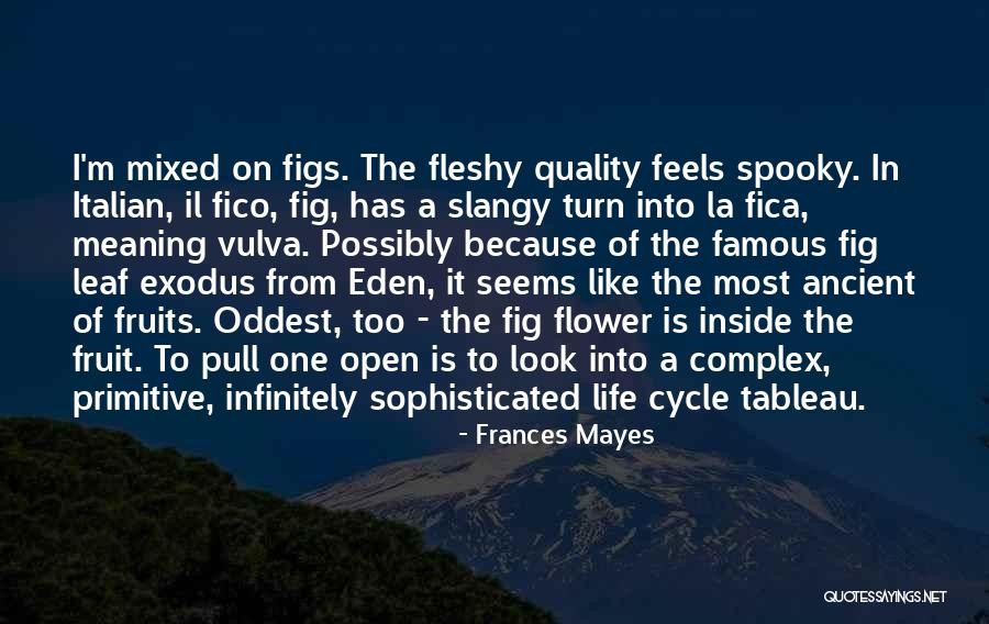 Fica Quotes By Frances Mayes Fica Quotes By Frances Mayes