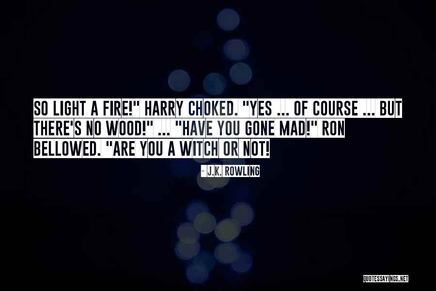 Ficam W Quotes By J.K. Rowling Ficam W Quotes By J.K. Rowling