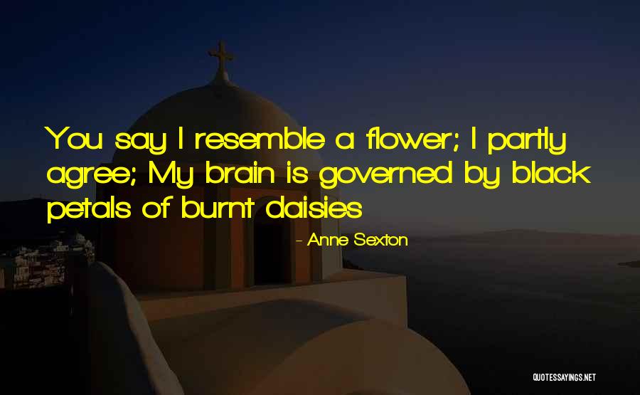 Ficino Wikipedia Quotes By Anne Sexton Ficino Wikipedia Quotes By Anne Sexton