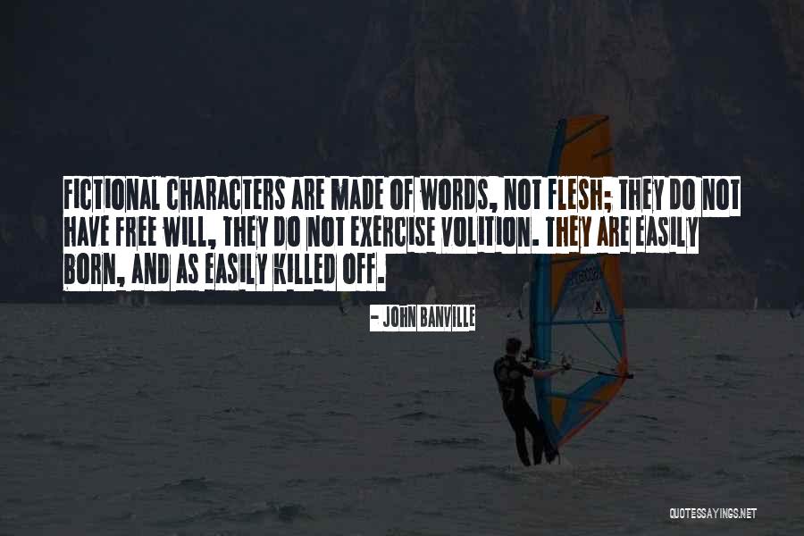 Fictional Writing Quotes By John Banville