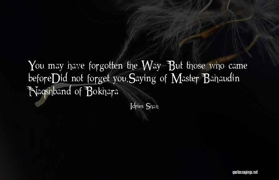 Fictionalizing True Quotes By Idries Shah Fictionalizing True Quotes By Idries Shah