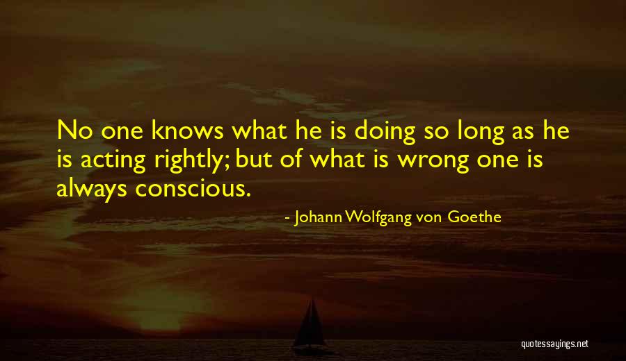 Fictionist Rolling Quotes By Johann Wolfgang Von Goethe Fictionist Rolling Quotes By Johann Wolfgang Von Goethe