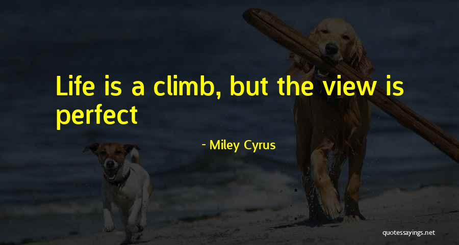 Fidanimo Quotes By Miley Cyrus Fidanimo Quotes By Miley Cyrus