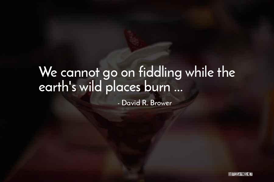 Fiddling Quotes By David R. Brower Fiddling Quotes By David R. Brower