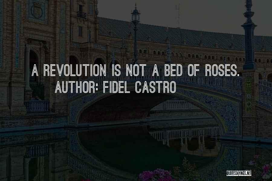 Fidel Castro Quotes 654012