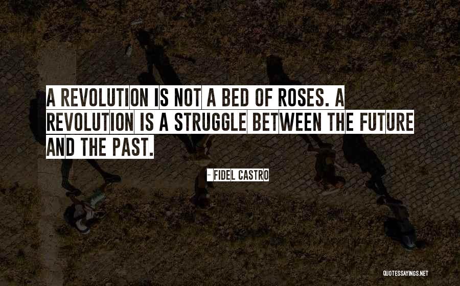 Fidel Castro Quotes 947878 Fidel Castro Quotes 947878