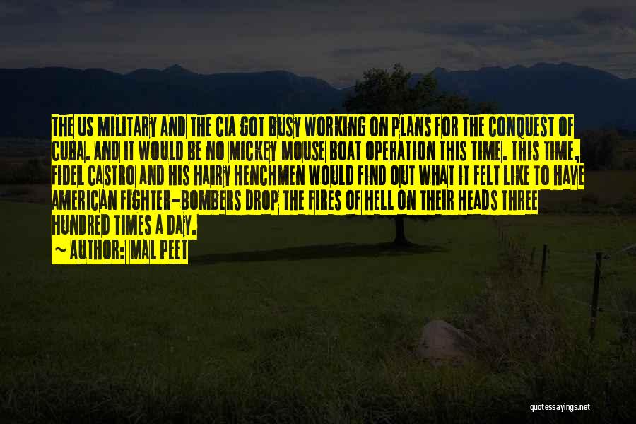 Fidel's Quotes By Mal Peet