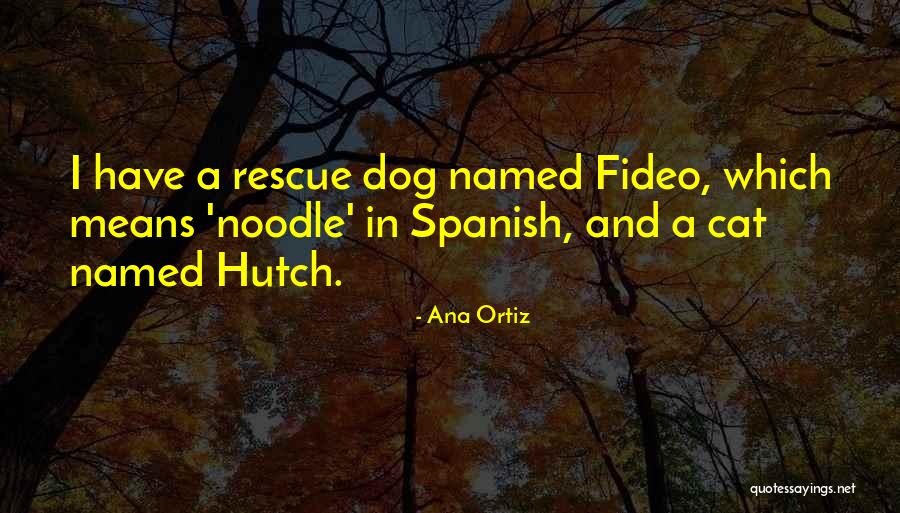 Fideo Con Quotes By Ana Ortiz Fideo Con Quotes By Ana Ortiz
