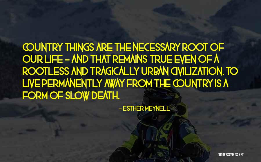 Fiebig Stages Quotes By Esther Meynell Fiebig Stages Quotes By Esther Meynell