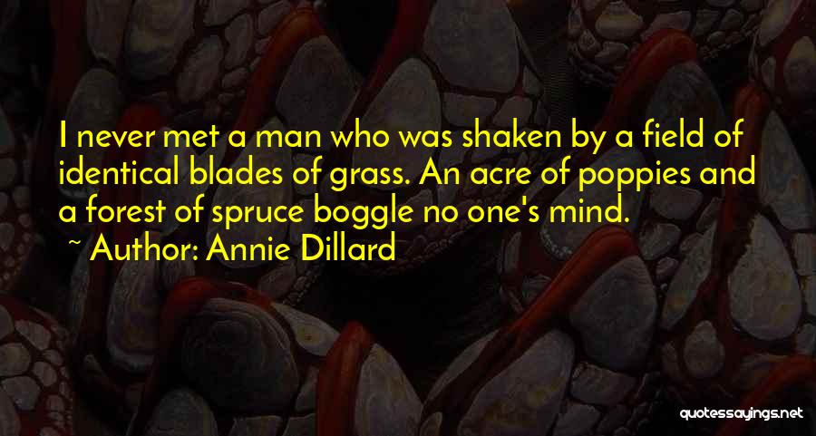 Field Grass Quotes By Annie Dillard