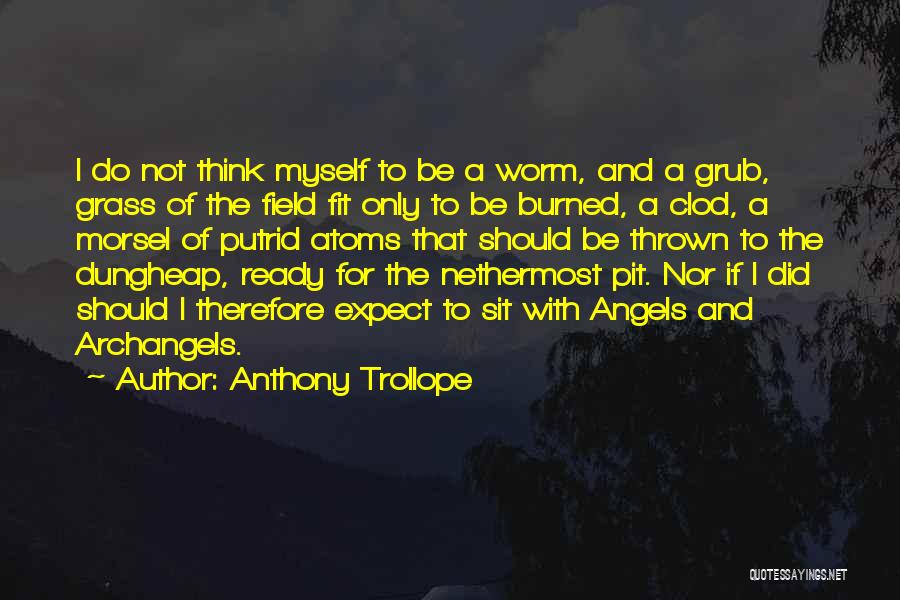 Field Grass Quotes By Anthony Trollope