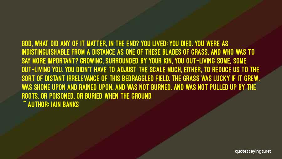 Field Grass Quotes By Iain Banks