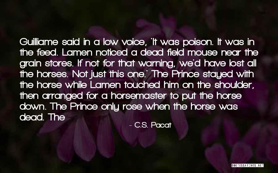 Field Mouse Quotes By C.S. Pacat Field Mouse Quotes By C.S. Pacat