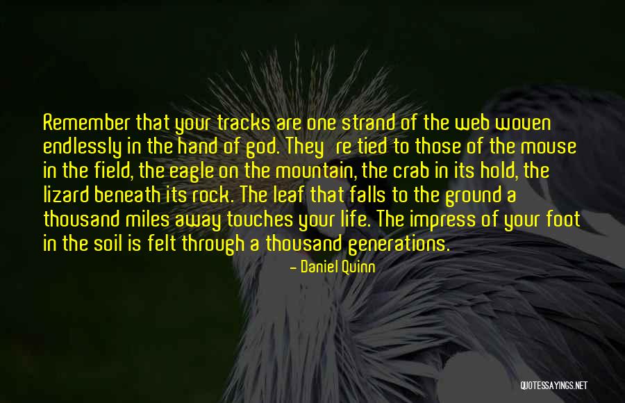 Field Mouse Quotes By Daniel Quinn Field Mouse Quotes By Daniel Quinn