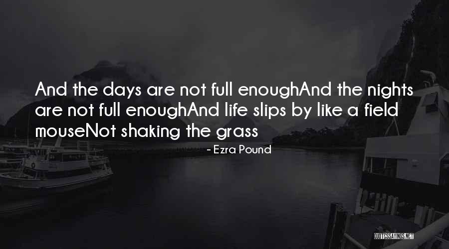 Field Mouse Quotes By Ezra Pound Field Mouse Quotes By Ezra Pound