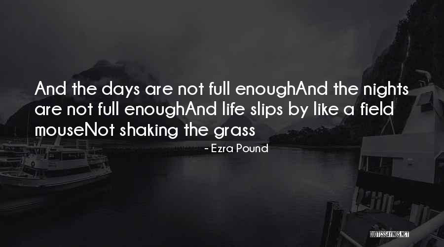 Field Mouse Quotes By Ezra Pound