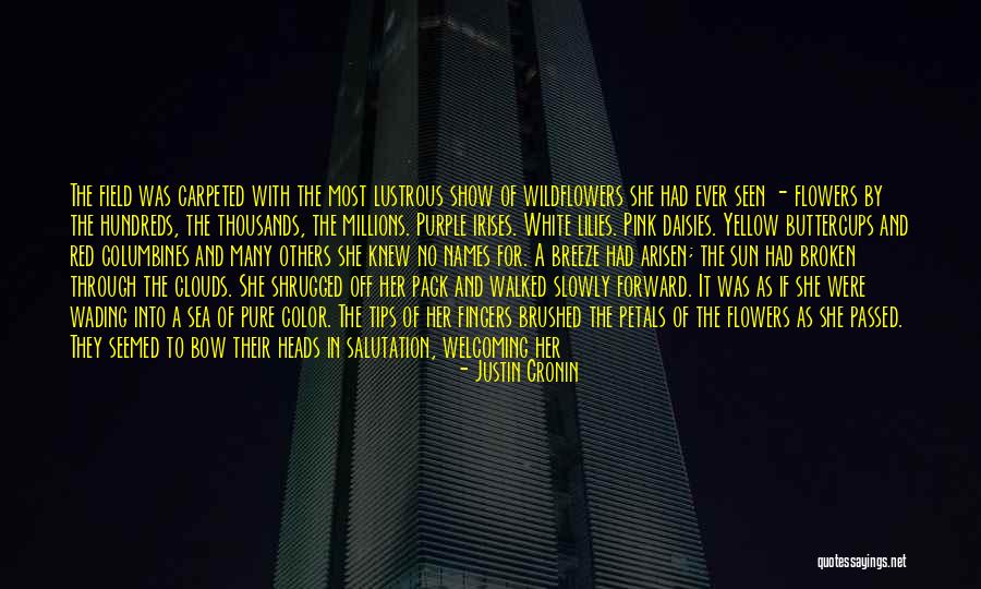 Field Of Color Quotes By Justin Cronin Field Of Color Quotes By Justin Cronin