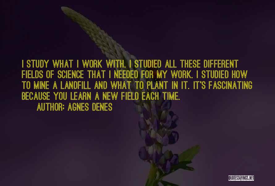 Field Study Quotes By Agnes Denes