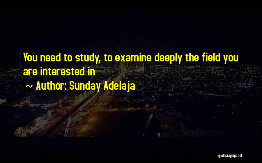 Field Study Quotes By Sunday Adelaja