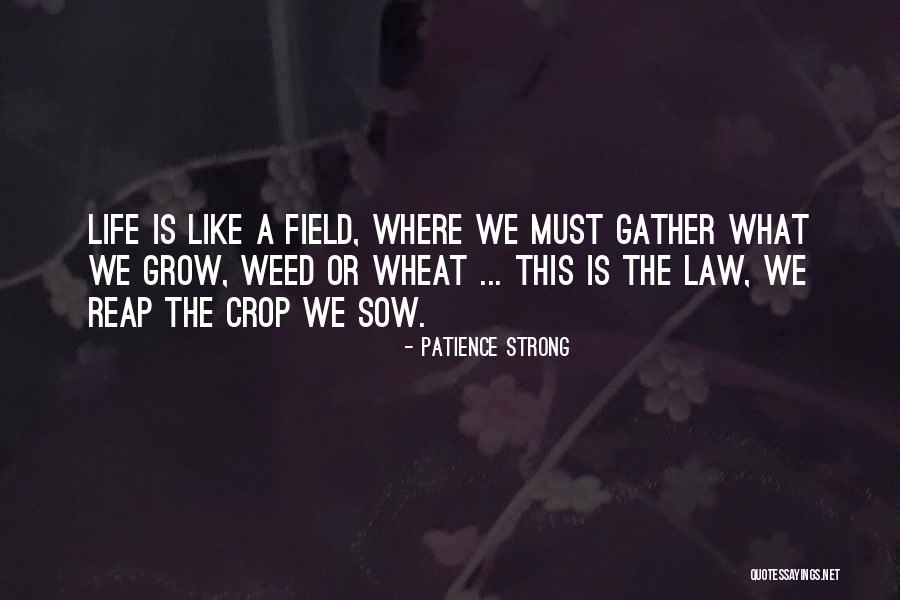 Field The Quotes By Patience Strong Field The Quotes By Patience Strong