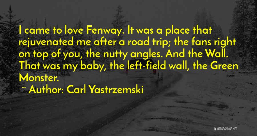 Field Trip Quotes By Carl Yastrzemski