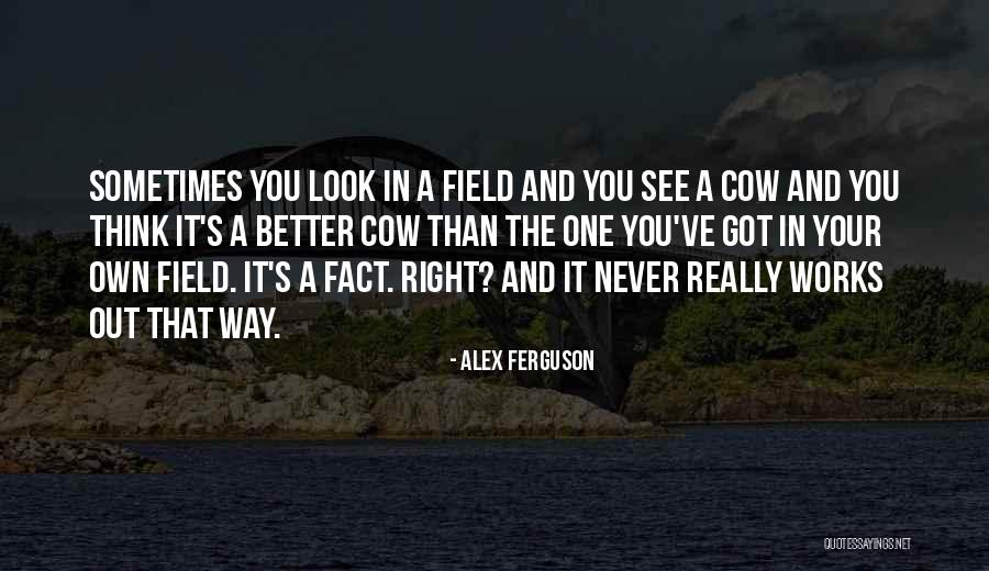 Field Works Quotes By Alex Ferguson Field Works Quotes By Alex Ferguson