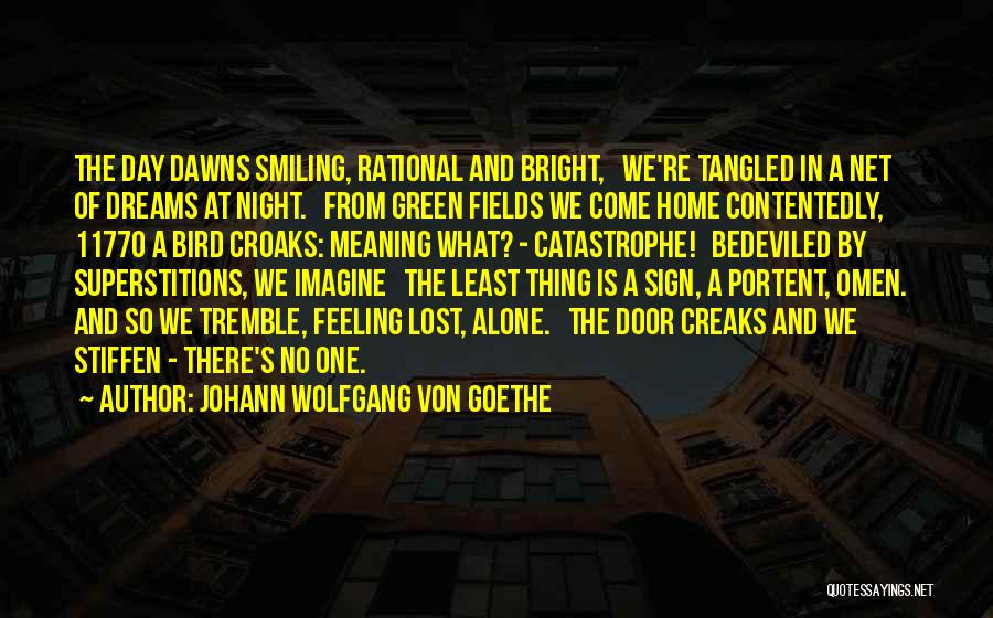 Fields Of Dreams Quotes By Johann Wolfgang Von Goethe