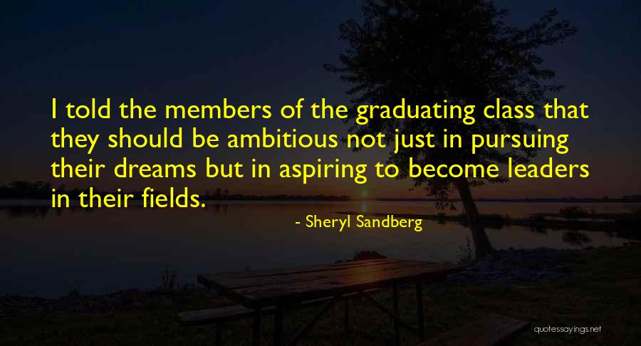 Fields Of Dreams Quotes By Sheryl Sandberg