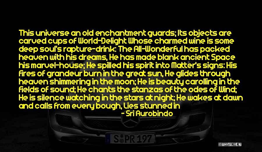 Fields Of Dreams Quotes By Sri Aurobindo Fields Of Dreams Quotes By Sri Aurobindo