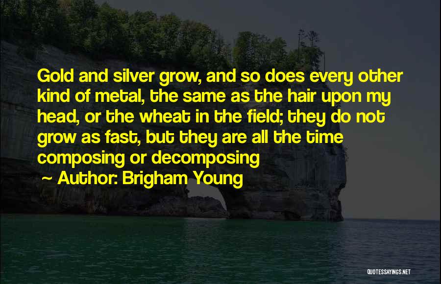 Fields Of Gold Quotes By Brigham Young