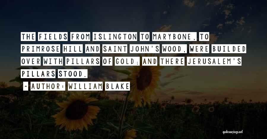 Fields Of Gold Quotes By William Blake