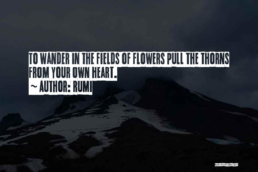 Fields Quotes By Rumi