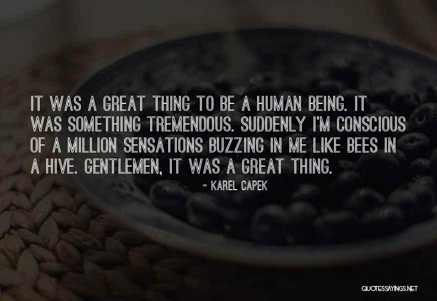 Fiennes And Ferb Quotes By Karel Capek Fiennes And Ferb Quotes By Karel Capek