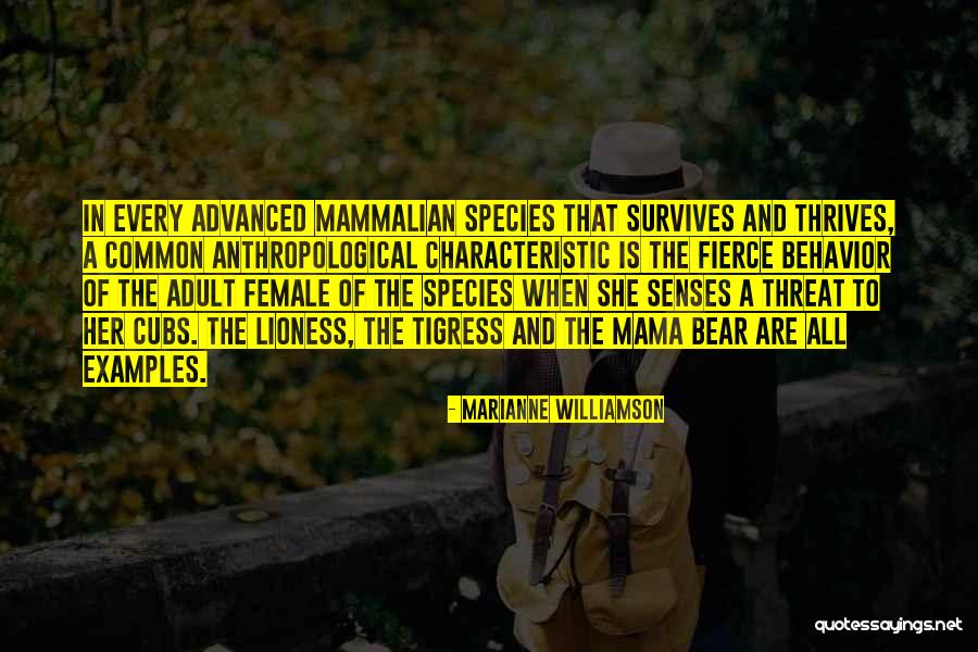 Fierce Lioness Quotes By Marianne Williamson