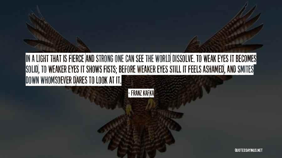 Fierce Look Quotes By Franz Kafka Fierce Look Quotes By Franz Kafka