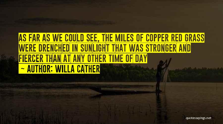 Fiercer Quotes By Willa Cather