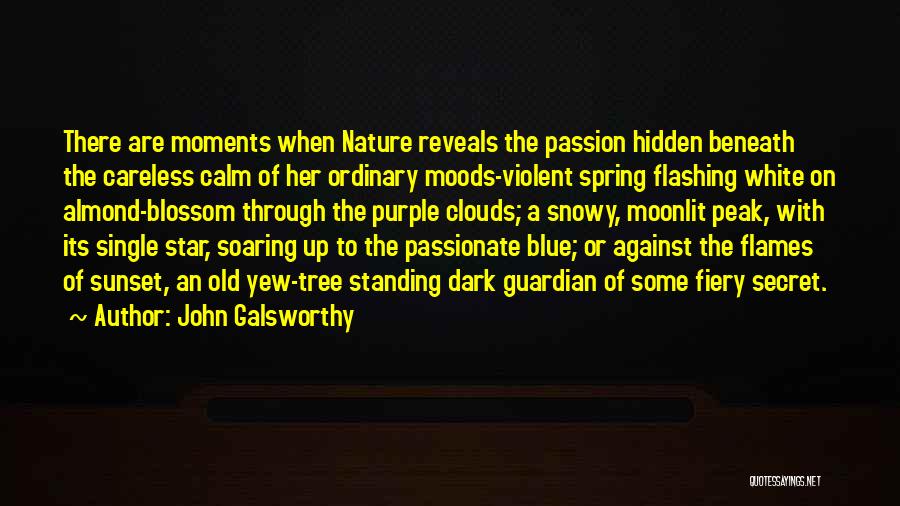 Fiery Passion Quotes By John Galsworthy