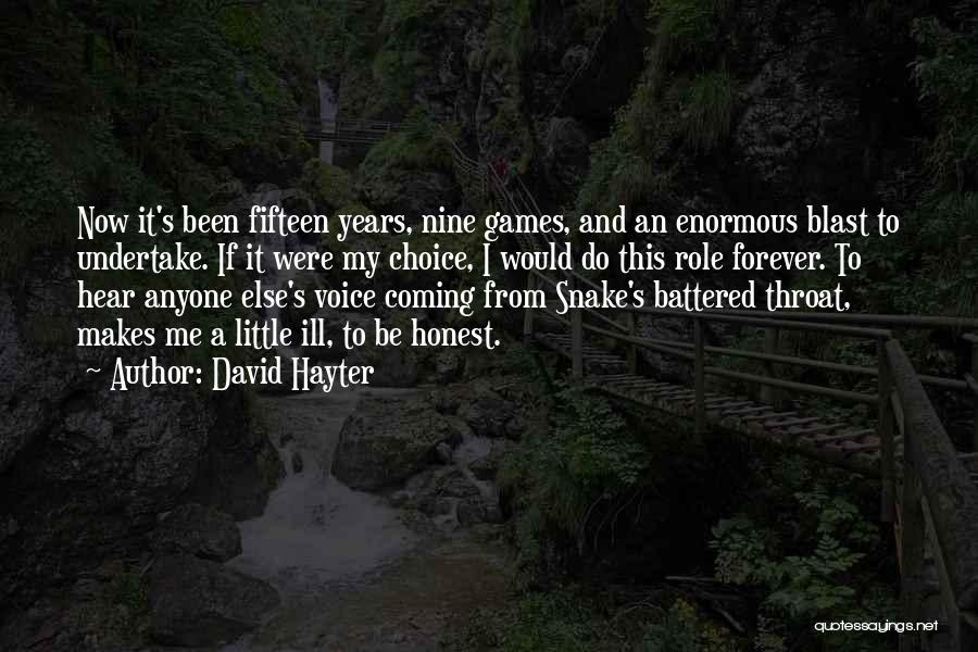 Fifteen Years Quotes By David Hayter