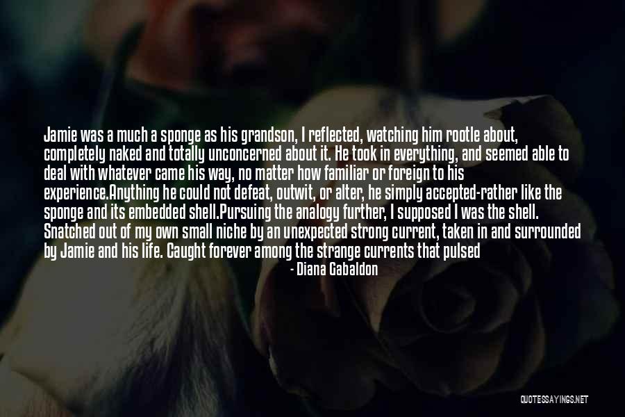 Fifth Element Ruby Quotes By Diana Gabaldon Fifth Element Ruby Quotes By Diana Gabaldon